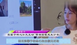 林心如爆料分手原因视频,揭秘与霍建华分手背后原因